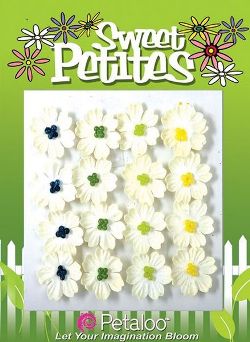 3For2 - Petaloo Cream Mix Delphiniums