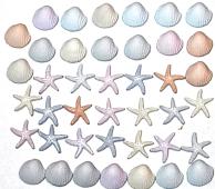 Dress It Up  - Tiny Seashells