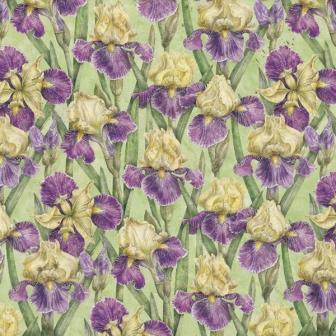 K&Co Cottage Garden Paper - Purple and Yellow Iris