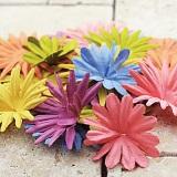 Prima E-Line Value Flowers