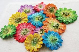 Evelyn Sugar Coated Brights (532703)