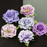 Prima Lilliput Roses and Petunia Flowers