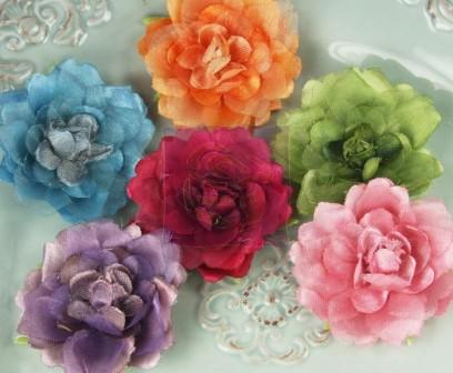 Prima Roosevelt Flowers
