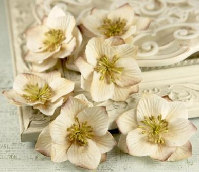 Prima EMINENCE Flowers - 546151
