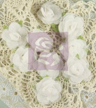 Prima Champagne Roses - White Vine