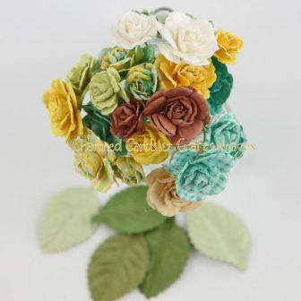 Prima Sun Kiss Charme Roses