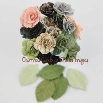 Prima Nature Garden Charme Roses