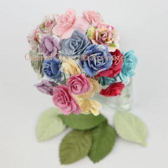 Prima Meadow Lark Charme Roses
