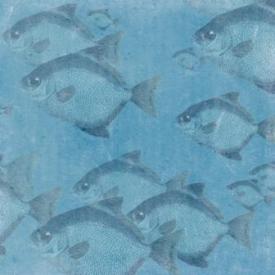 K&Co Sea Glass Paper - Fish