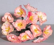 Mini Stocks - Peach/Pink