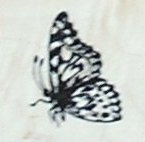 Stamps - Small Butterfly (B1993)