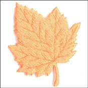 Fabric Leaves - Orange