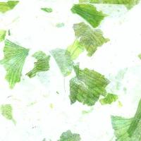 Natural Fancy Paper  - Onion Peel - Green