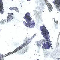 Natural Fancy  Paper - Onion Peel - Blue 