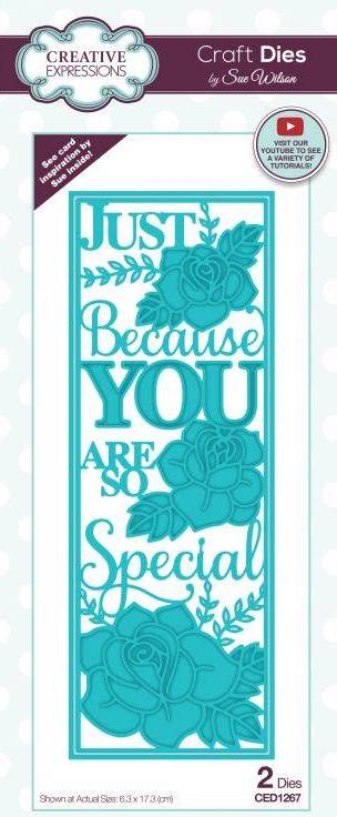 Creative Expressions Sue Wilson - Slimline You Are So Special Craft Die