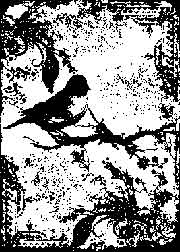 Tim Holtz Unmounted Stamps - Tattered Sparrow (COM031)