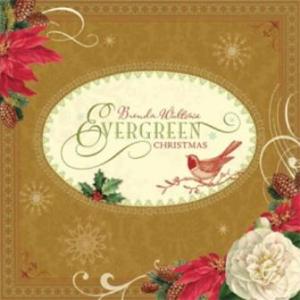 New K & Company Evergreen Collection