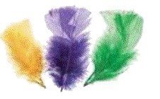 Feathers - 14g All Purpose Assorted Mardi Grass