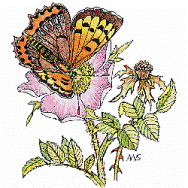 Stamps - F-Q120 Small Copper Butterfly on Sweet Briar