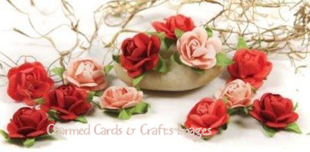 Prima Fairytale Roses - Coral 