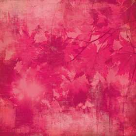Basic Grey Indian Summer  - Brandied Melon