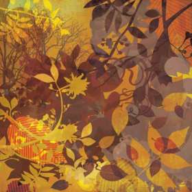 Basic Grey Indian Summer  - Splendor