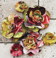 Prima Gallery Roses - Marcel