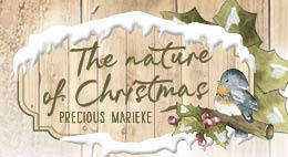 Find It Trading Nature of Christmas