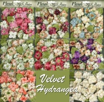 Petaloo Velvet Hydrangea