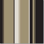 Photo Banner Chunky Stripe Cardstock - Cat