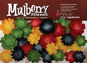 Petaloo Mini Delphiniums - Red/Yellow/Dk.Blue/Green  (223)