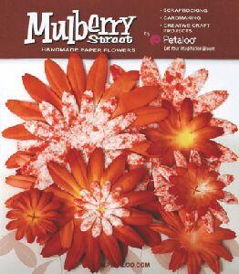 3For2 - Petaloo Tye-Dyed Daisies - Orange (LARGE)(003)