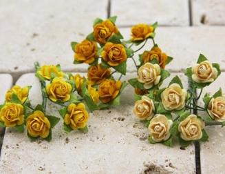 Prima Mini Roses - Yellow (35469)