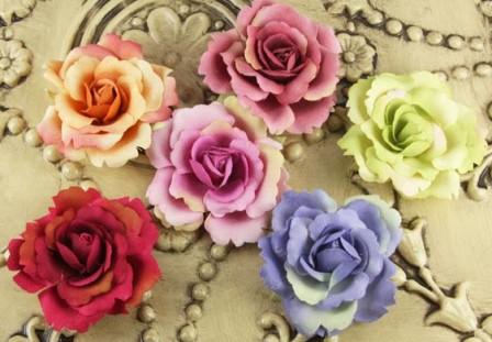 Prima Roses of Spain - Anais
