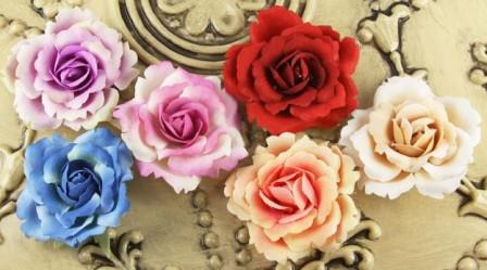 Prima Roses of Spain - Minstrel