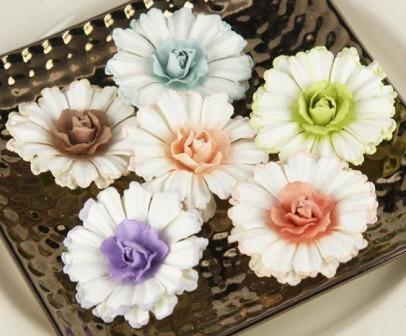 Prima Roses of Spain - Medeiros