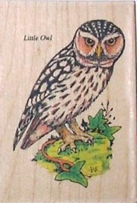PI Stamps - P1018-M Owl (SB1)