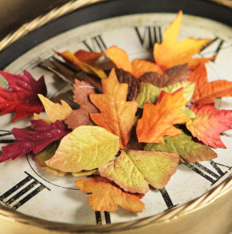 Prima Leaves