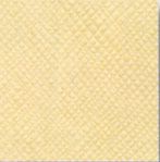PLAIN CARDSTOCK - Naturals