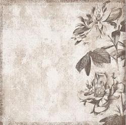 Hot Off The Press 12x12 Paper - Black/White Flower Border