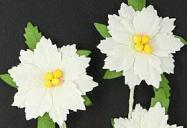 Handmade Poinsetta Flower White (81)