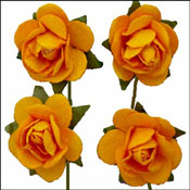 Gold Open Rose (022)