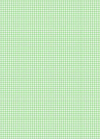 Background Paper -  Gingham (Pale Green)