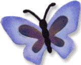 QuicKutz Dies - KS-0172 Butterfly