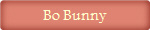 Bo Bunny