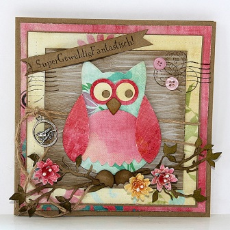 Collectable Owl card