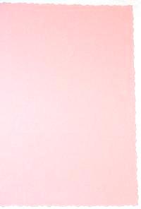 Deckle Edged Cards  - Pale  Pink (10)