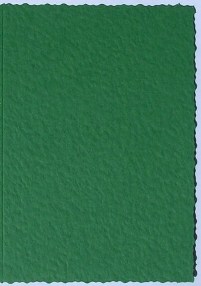 Deckle Edged Cards  - Hammer Green (10)