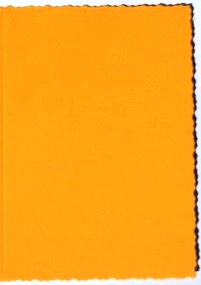 Deckle Edged Cards - Tangerine (Vanguard) (10)