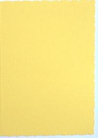 Deckle Edged cards - Yellow (10)